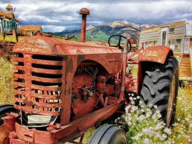 Queens County Farm Museum: Exploring NYC’s Oldest Farm