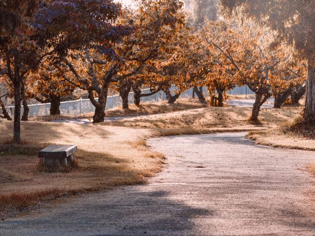 Socrates Sculpture Park: Queens’ Hidden Outdoor Art Haven