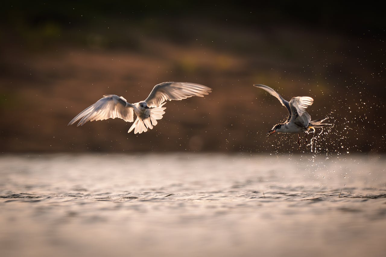 Queens personal injury lawyers